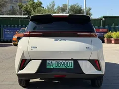 2025 BYD Seagull 305km, белый — фото 8