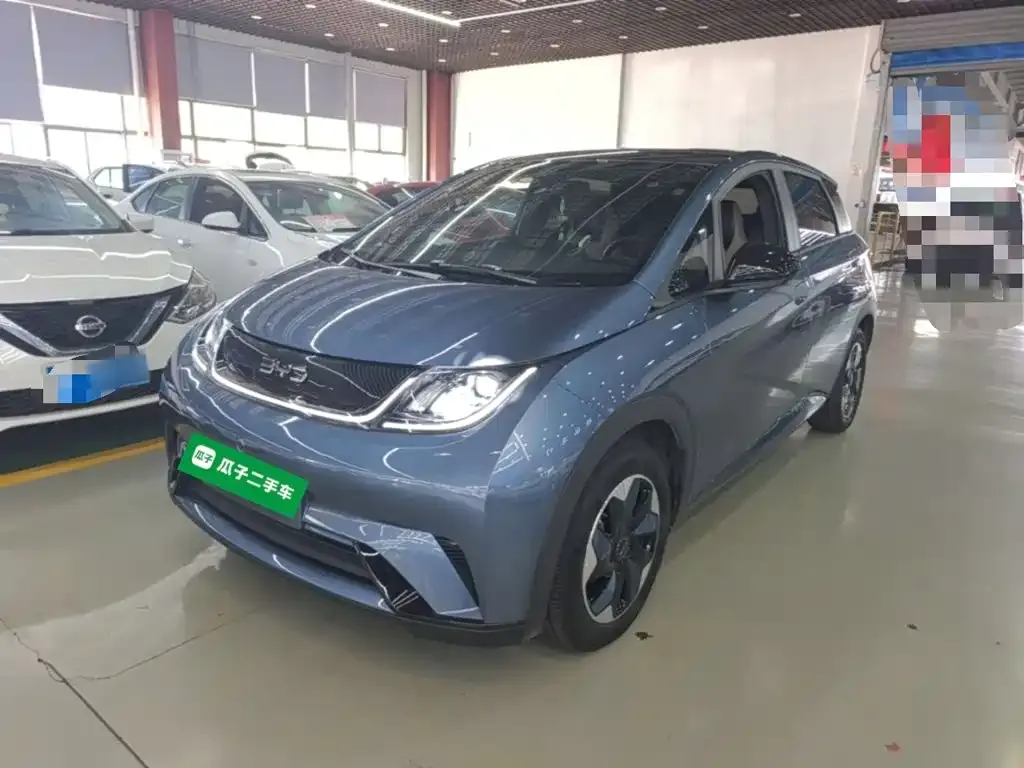 2025 BYD Dolphin 420km Freedom