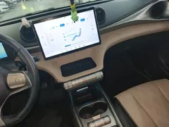 2025 BYD Dolphin 420km Freedom — фото 9