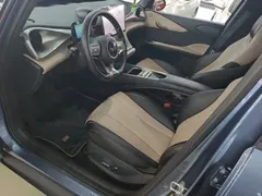 2025 BYD Dolphin 420km Freedom — фото 11