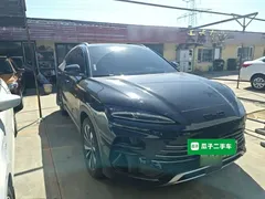 2023 BYD Song PLUS 110KM, чёрный — фото 22