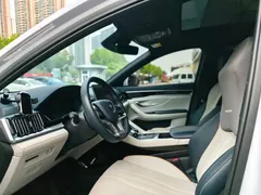 2021 BYD PLUS DM-i 110KM PLUS, белый — фото 7