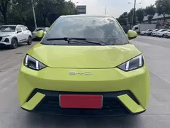 2024 BYD Seagull 305km — фото 2