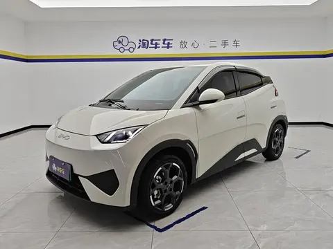 2025 BYD Seagull Smart Driving 405km Freedom