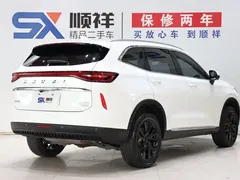 2021 Haval H6 2.0T AT 2WD Max, белый — фото 5