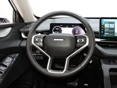 2021 Haval H6 2.0T AT 2WD Max, белый — фото 12