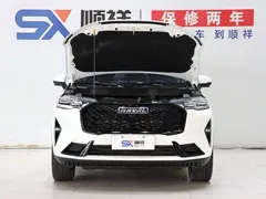 2021 Haval H6 2.0T AT 2WD Max, белый — фото 19