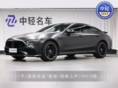 2020 Mercedes-Benz AMG GT 50 — фото 1