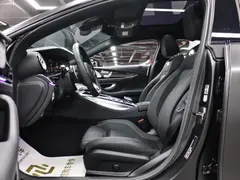 2020 Mercedes-Benz AMG GT 50 — фото 8
