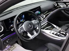 2020 Mercedes-Benz AMG GT 50 — фото 9
