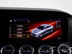 2020 Mercedes-Benz AMG GT 50 — фото 18