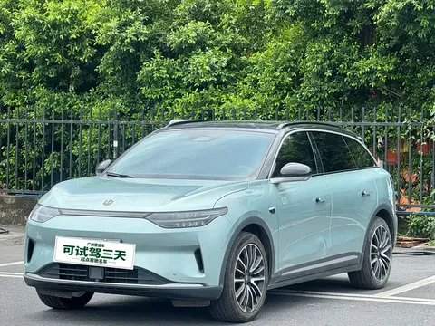 2021 Leapmotor C11 610