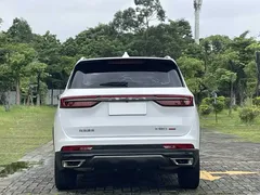 2021 Jetour X90 PLUS 1.6TD DCT 7-seat, белый — фото 10