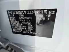 2025 BYD Yuan UP Smart Driving 401km Leading — фото 17