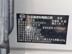 2023 BYD Frigate 07 DM-i 100KM — фото 12