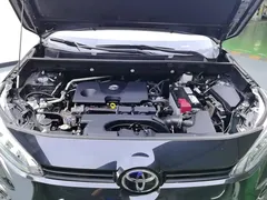 2020 Toyota Wildlander 2.0L CVT 4WD Luxury, чёрный — фото 10