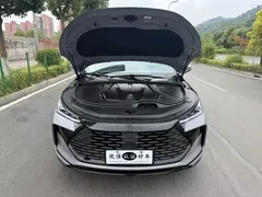2025 BYD Tang 115KM — фото 8