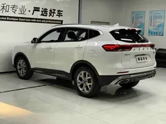 2021 Haval H6 1.5T AT, белый — фото 4
