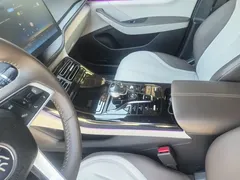 2024 BYD Qin PLUS DM-i 55KM — фото 9