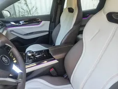 2024 BYD Qin PLUS DM-i 55KM — фото 10