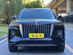 2021 Hongqi E-HS9 460km, чёрный — фото 2