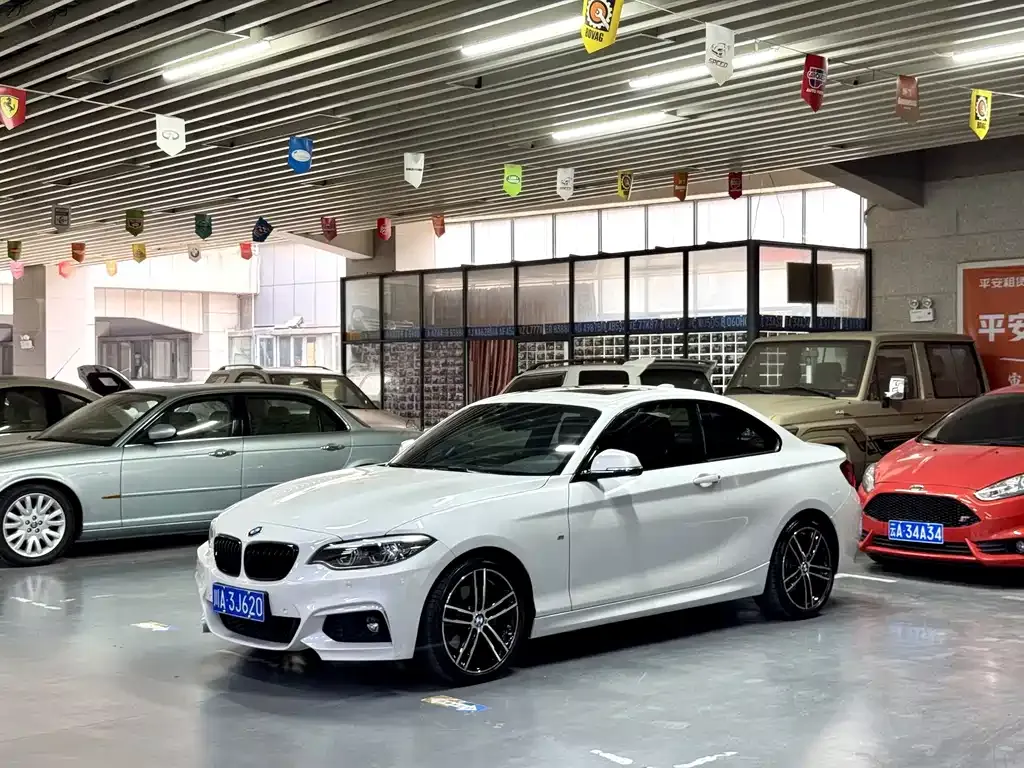 2019 BMW 2 225i M