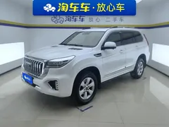 2022 Haval H9 2.0T 4WD Premium 5, белый — фото 1