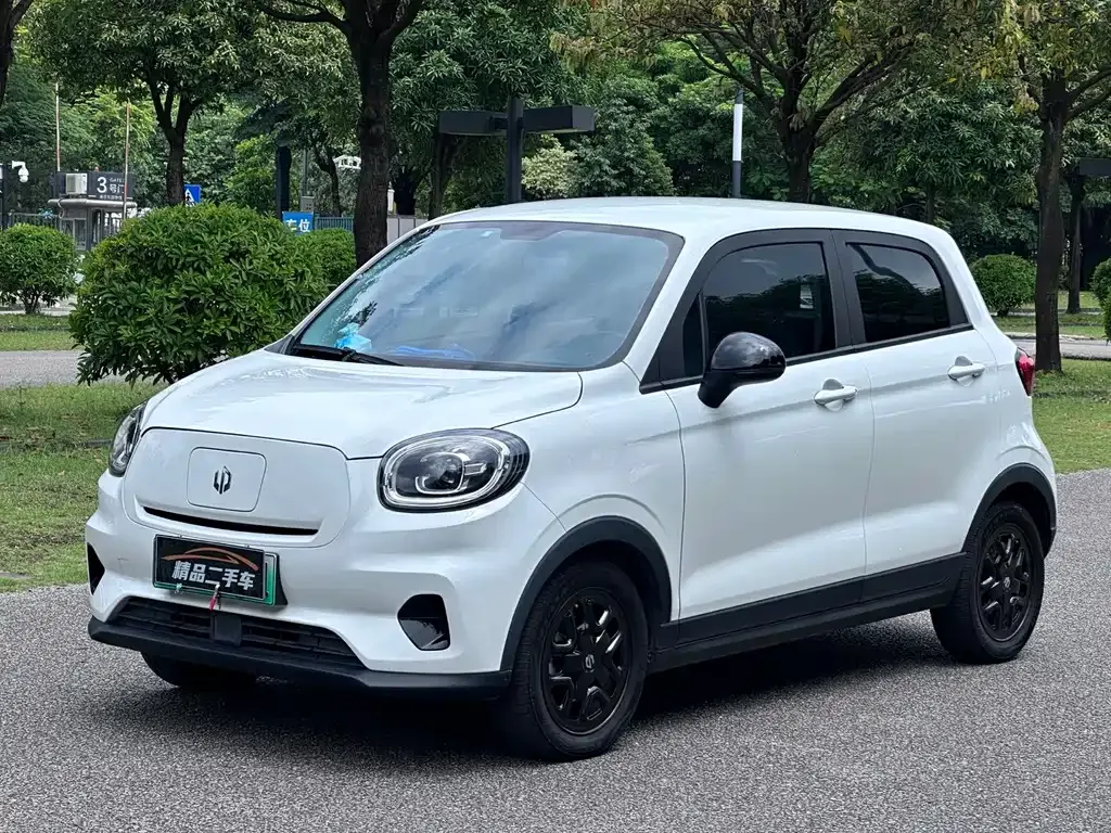 2023 Leapmotor T03 310