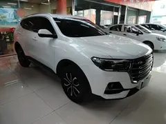 2021 Haval H6 1.5T AT Guochao Urban, белый — фото 4
