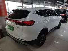 2021 Haval H6 1.5T AT Guochao Urban, белый — фото 7