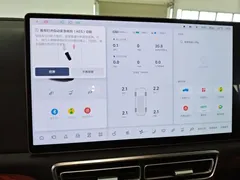 2025 Li Auto L9 Smart Refresh, зелёный — фото 19