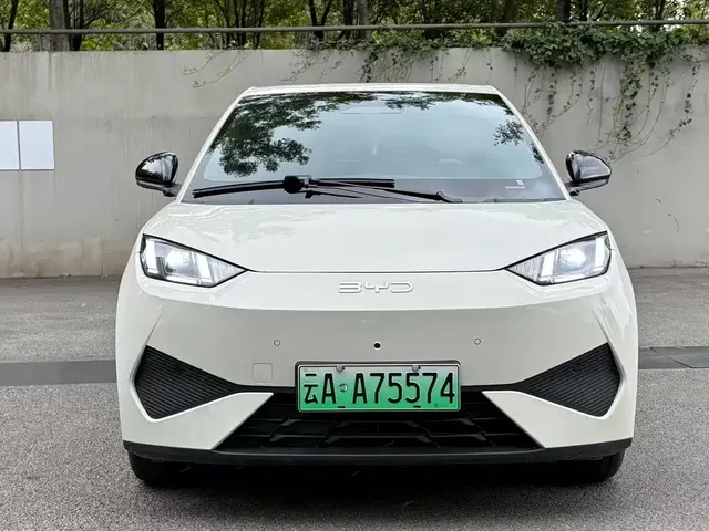 2025 BYD Seagull Smart Driving 305km Freedom