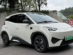 2025 BYD Seagull Smart Driving 305km Freedom, белый — фото 3