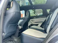 2021 BYD Song PLUS EV Premium — фото 8