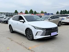 2023 BYD Destroyer 05 DM-i 55KM, белый — фото 3
