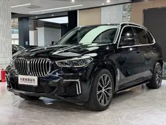 2022 BMW X5 30Li M, чёрный — фото 1