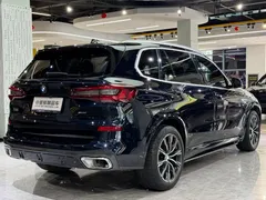 2022 BMW X5 30Li M, чёрный — фото 17