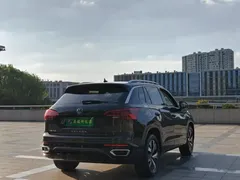 2020 Volkswagen Tayron 1.4T Luxury — фото 13
