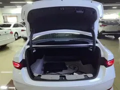 2025 BYD Qin PLUS DM-i PHEV Smart Driving 55km Leading, белый — фото 15