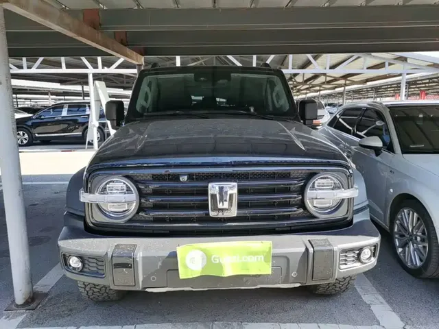 2021 Tank 300 Off-road 2.0T Conqueror