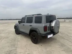 2021 Tank 300 2.0T — фото 9
