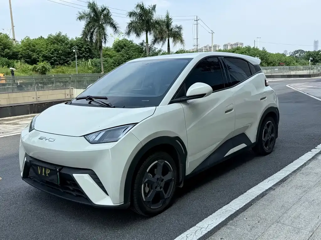 2023 BYD Seagull