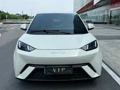 2023 BYD Seagull — фото 2