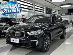 2022 BMW X5 30Li M, чёрный — фото 1