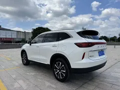 2022 Haval H6 1.5T AT 2WD Max, белый — фото 6
