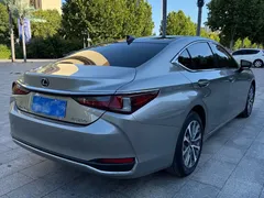 2022 Lexus ES 200 Luxury — фото 6