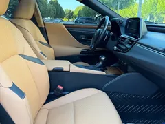 2022 Lexus ES 200 Luxury — фото 10