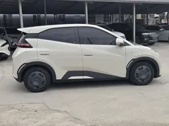 2025 BYD Seagull EV 305km, белый — фото 23