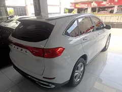 2021 Haval M6 PLUS 1.5T DCT, белый — фото 7