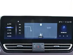 2023 Hongqi HQ9 2.0T, чёрный — фото 7
